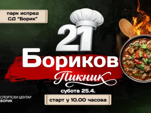 Бориков пикник – дан за дружење и добру енергију