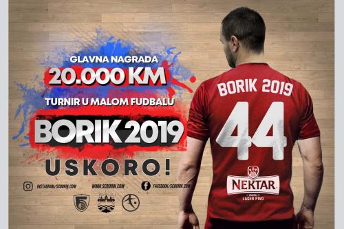 Сарадња „Борика“ и Дервенте